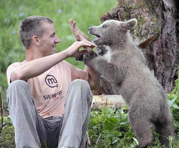 The Story Of Medo The Bear Cub | Baby Animal Zoo
